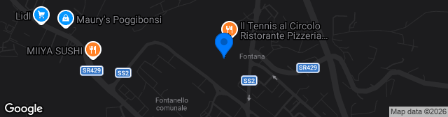 Map showing Stadio Stefano Lotti