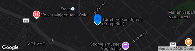 Map showing Tørteberg kunstgress