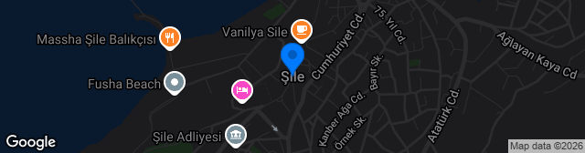 Map showing Şile Stadı