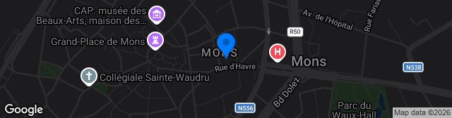 Map showing Mons Terrain Synthétique