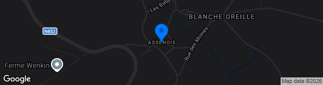 Map showing Assenois Terrain 1