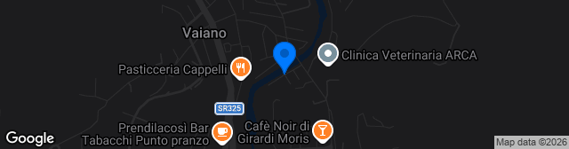 Map showing Stadio Lungobisenzio