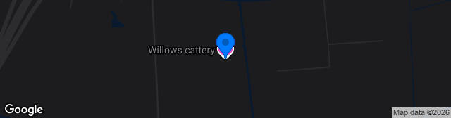 Map showing Everyone Active Stadium