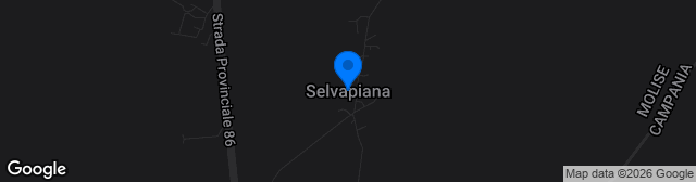 Map showing Avicor Stadium Selvapiana