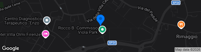 Map showing Stadio Davide Astori