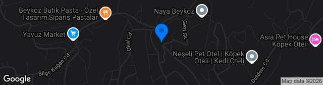 Map showing Alemdağ Stadyumu