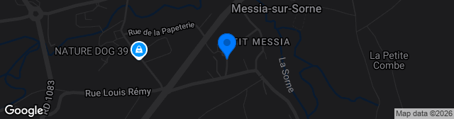 Map showing Stade Municipal de Lons-le-Saunier