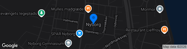 Map showing Nyborg Idrætspark